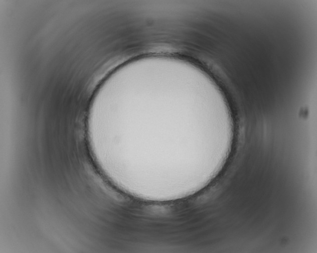 X0000113011409200910081212