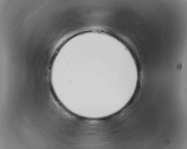X0000113011412200910081212