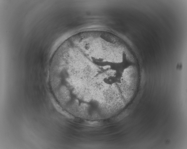 X0000113011413200910081212