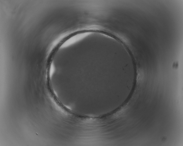 X0000113011414200910081212