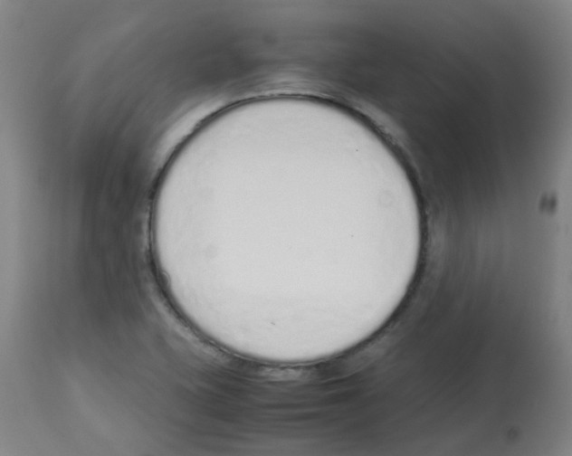 X0000113011415200910081212