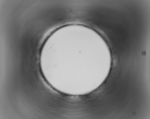 X0000113011416200910081212