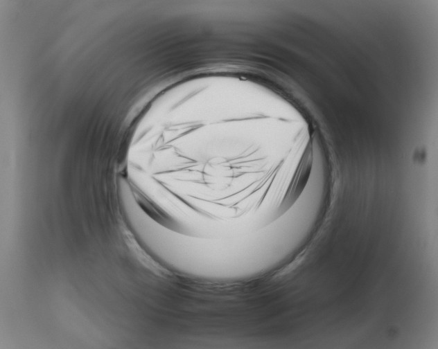 X0000113011417200910081212