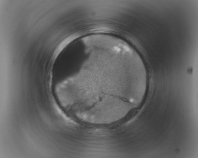 X0000113011418200910081212