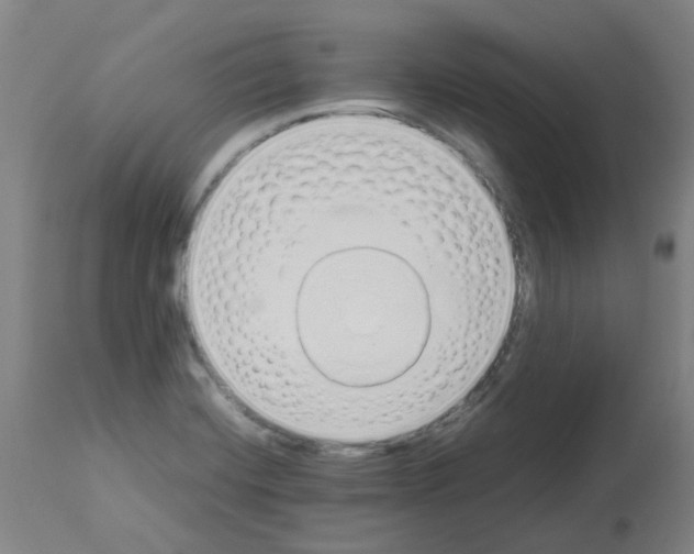 X0000113011420200910081212