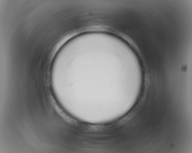 X0000113011421200910081212