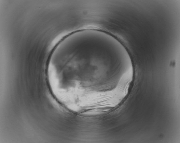 X0000113011422200910081212