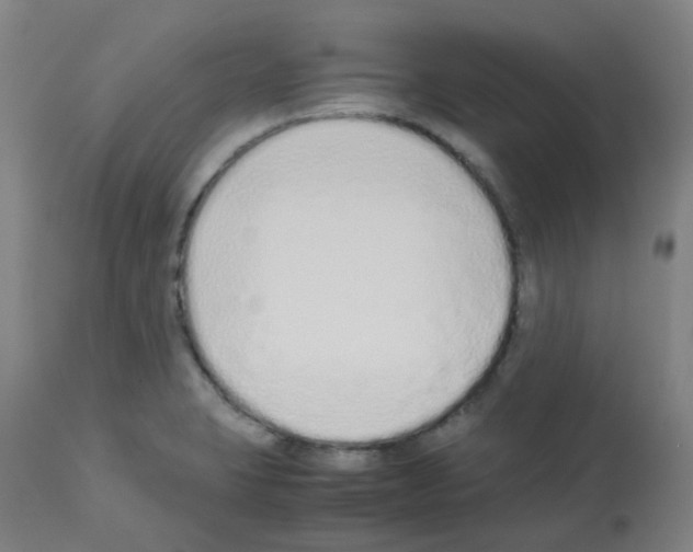 X0000113011423200910081212