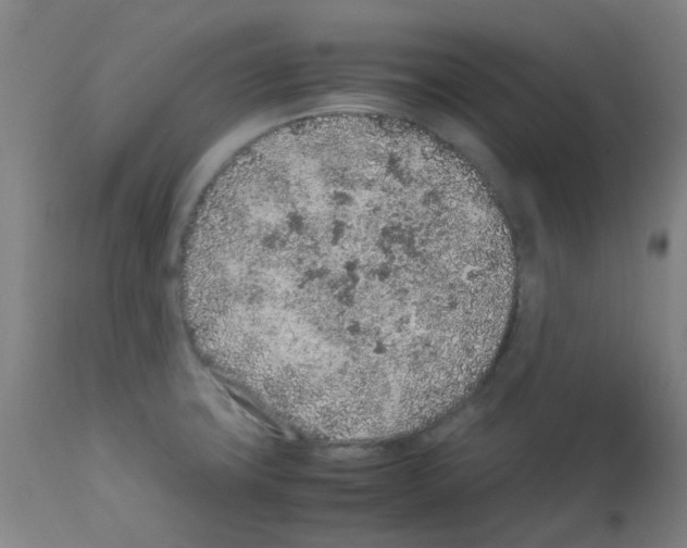 X0000113011427200910081212