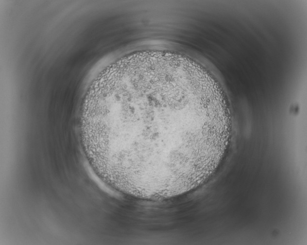 X0000113011429200910081212