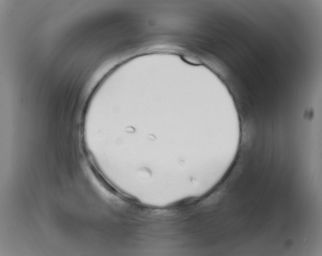 X0000113011430200910081212