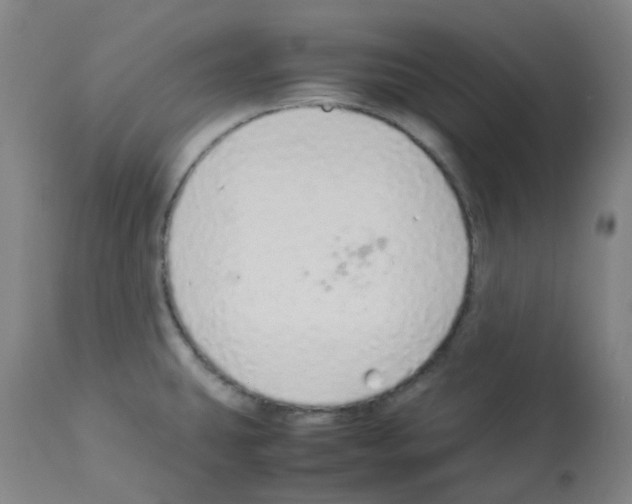 X0000113011431200910081212