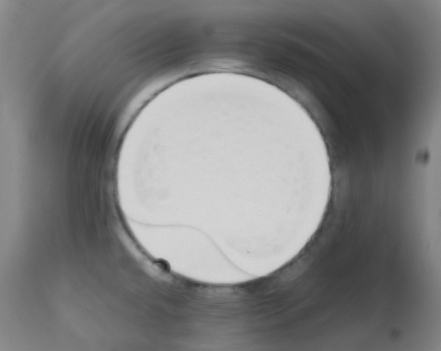X0000113011432200910081212