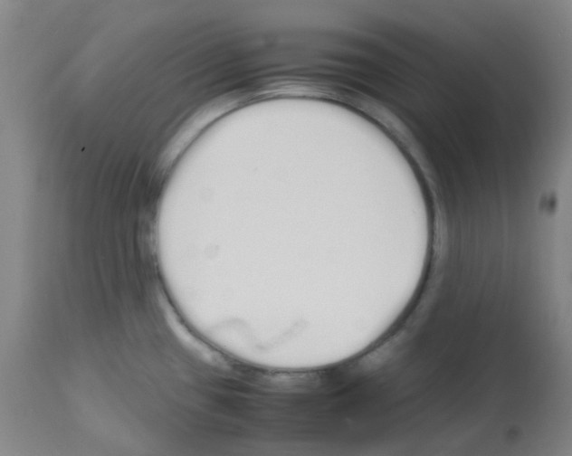 X0000113011433200910081212