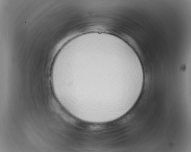 X0000113011435200910081212