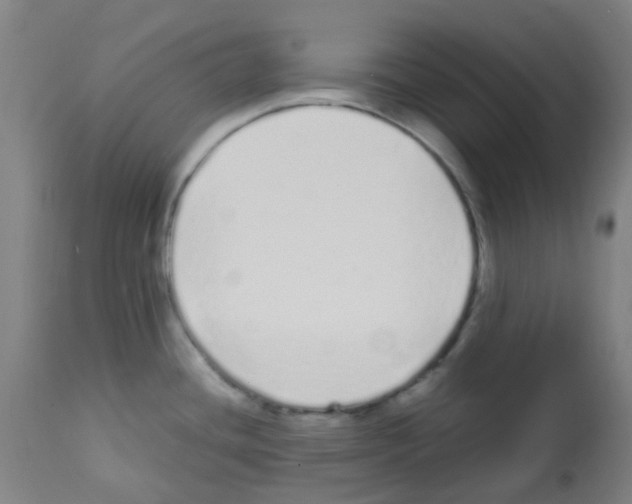 X0000113011436200910081212