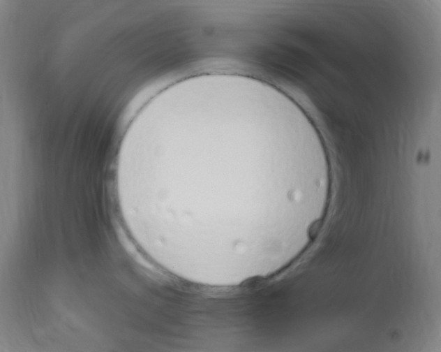 X0000113011440200910081212