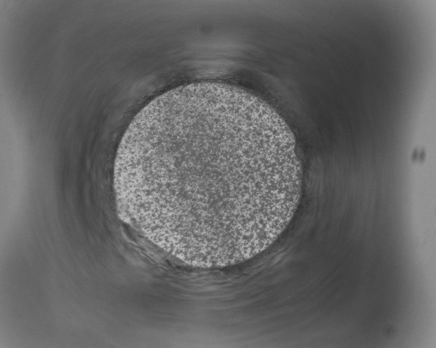 X0000113011441200910081212