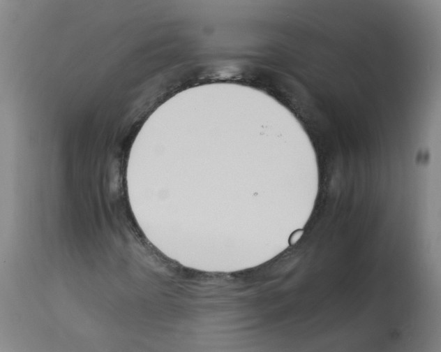 X0000113011442200910081212