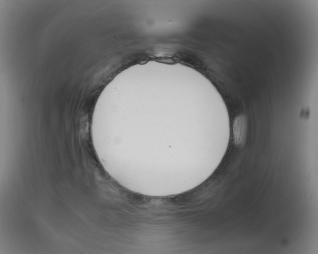 X0000113011443200910081212