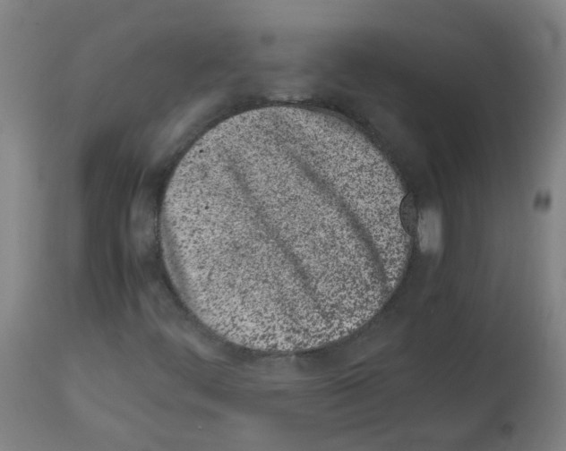X0000113011444200910081212