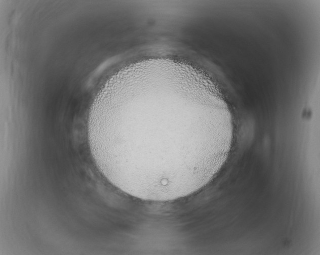 X0000113011446200910081212