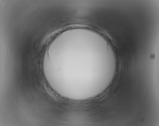 X0000113011448200910081211