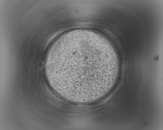 X0000113011449200910081211