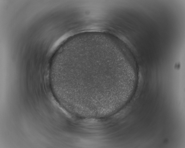 X0000113011450200910081211