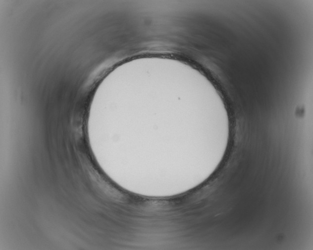 X0000113011451200910081211