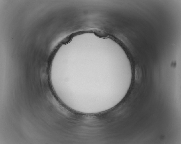 X0000113011452200910081211
