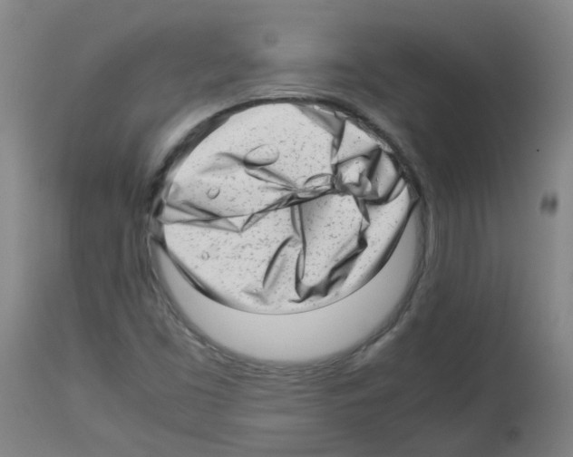 X0000113011453200910081211
