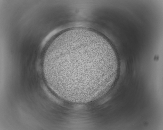 X0000113011454200910081211