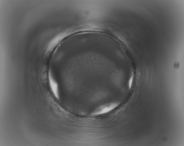 X0000113011455200910081211
