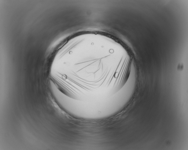 X0000113011456200910081211
