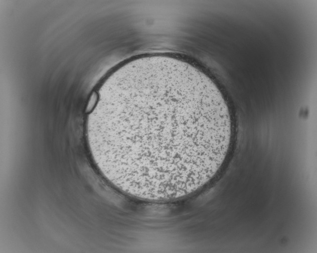 X0000113011457200910081211