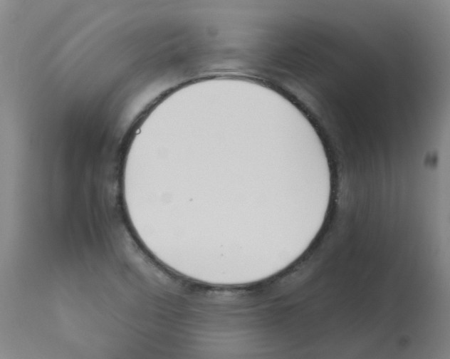 X0000113011458200910081211