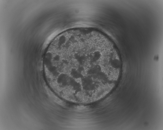 X0000113011459200910081211