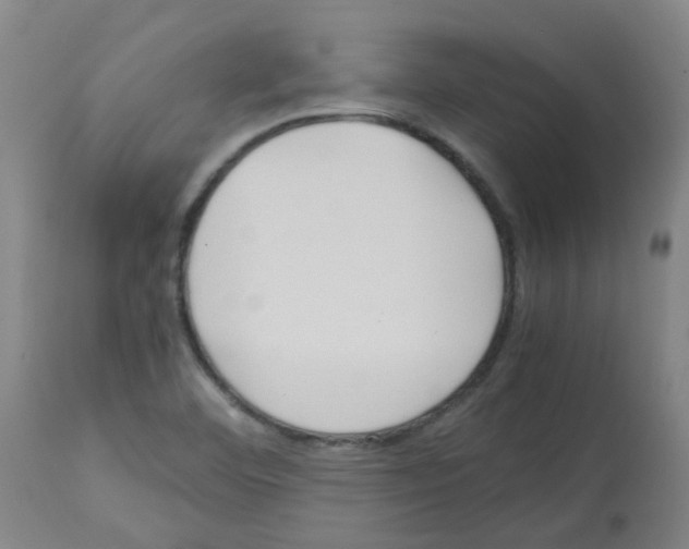 X0000113011460200910081211