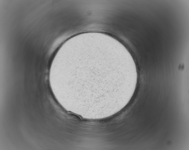 X0000113011461200910081211