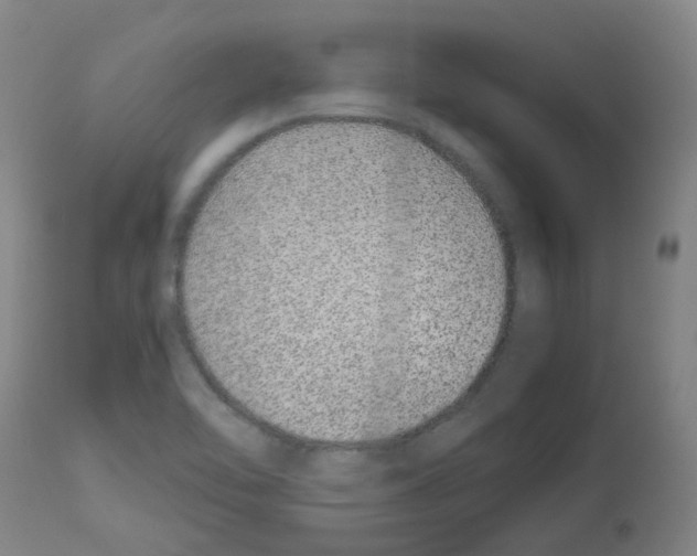 X0000113011462200910081211