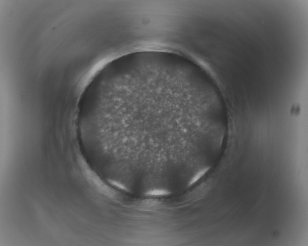 X0000113011463200910081211