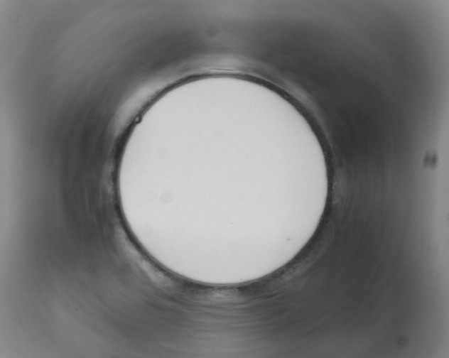 X0000113011464200910081211