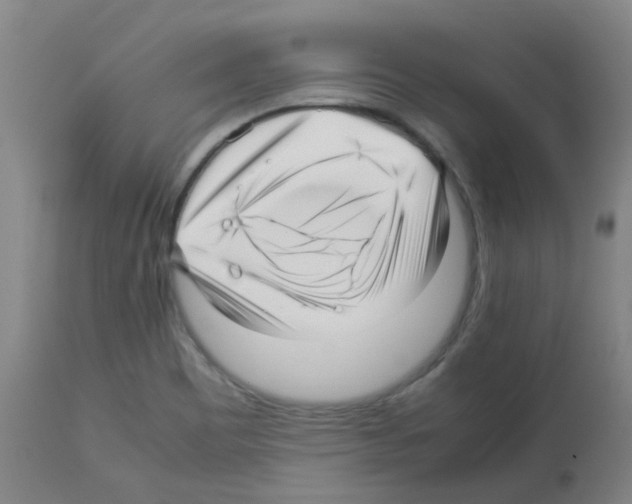 X0000113011465200910081211