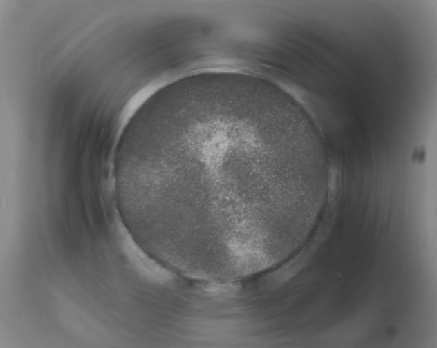 X0000113011466200910081211
