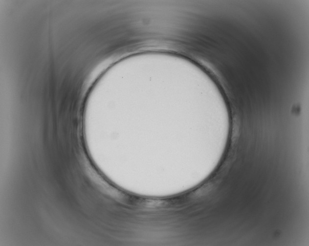 X0000113011467200910081211