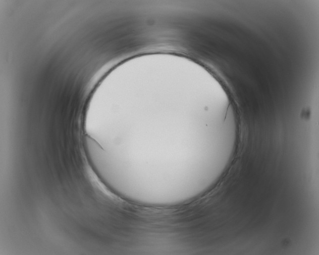 X0000113011468200910081211