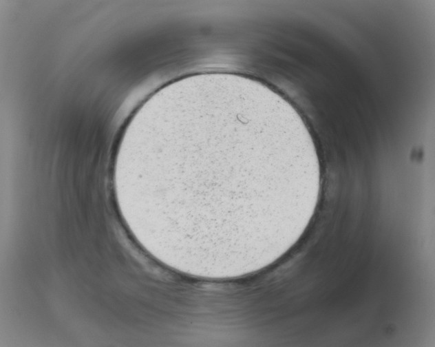 X0000113011469200910081211