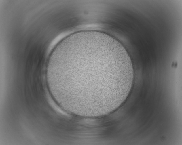 X0000113011470200910081211