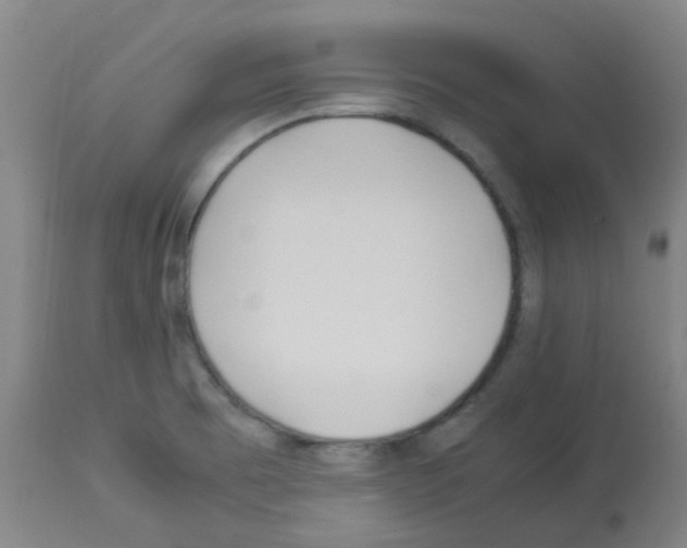 X0000113011473200910081211